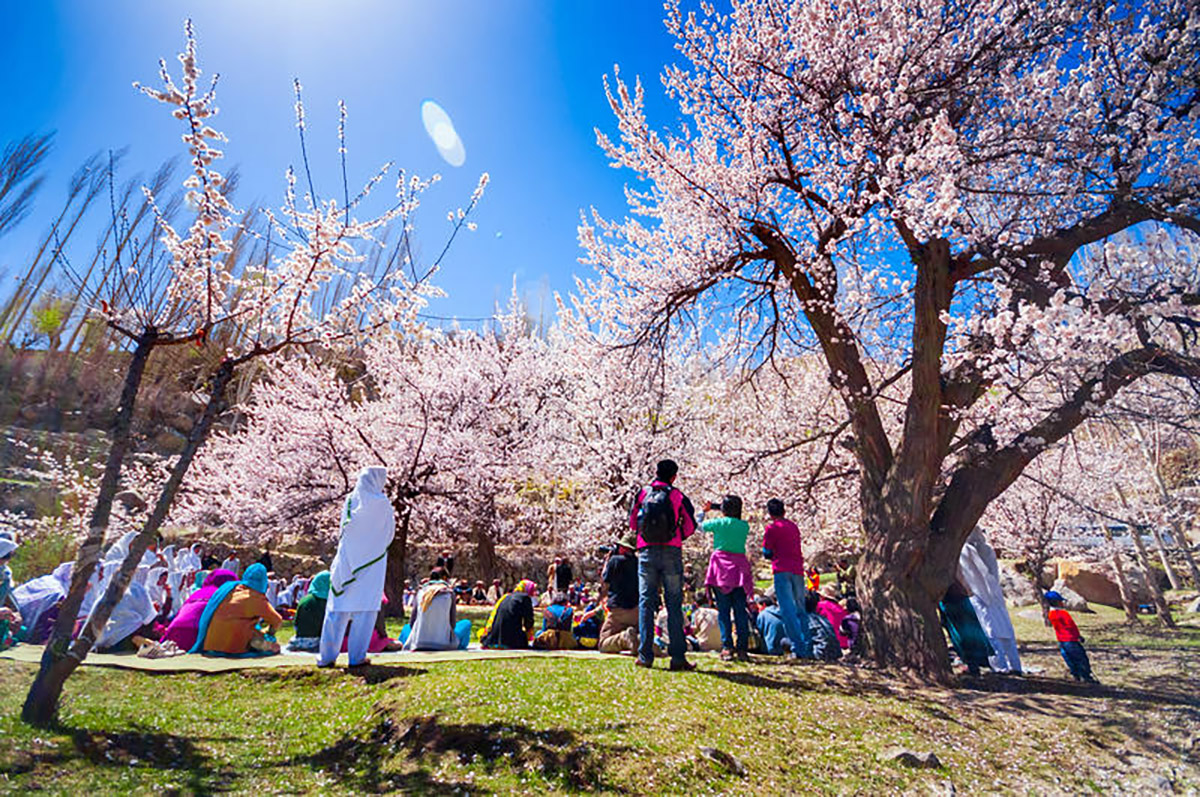 hunza in spring