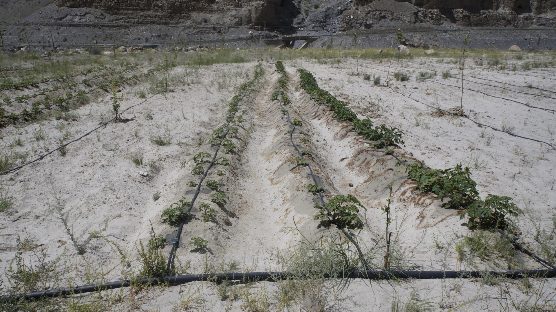 Practices for Sustainability